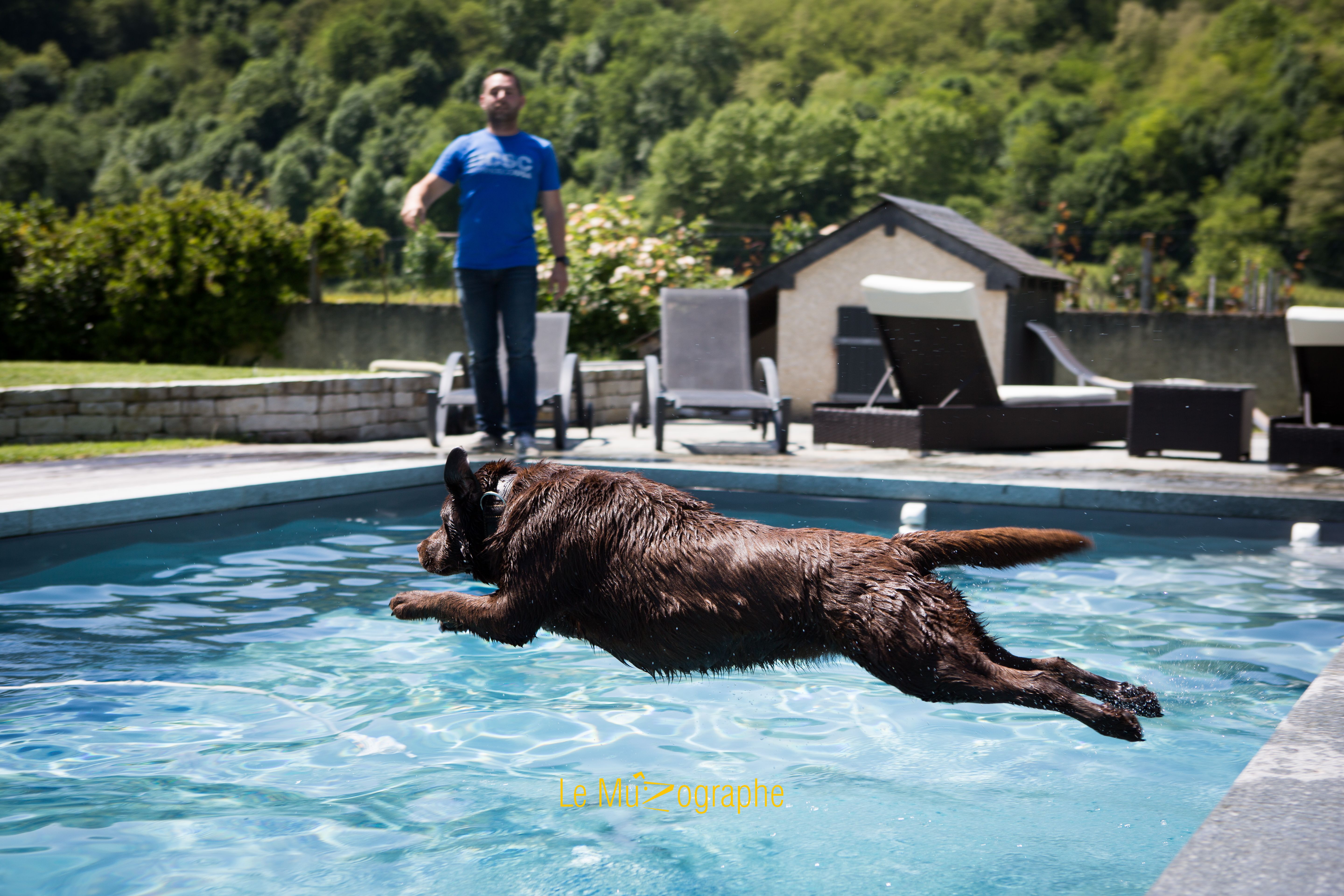 © Le MuZographe, Photographe pour chiens, chats et autres museaux