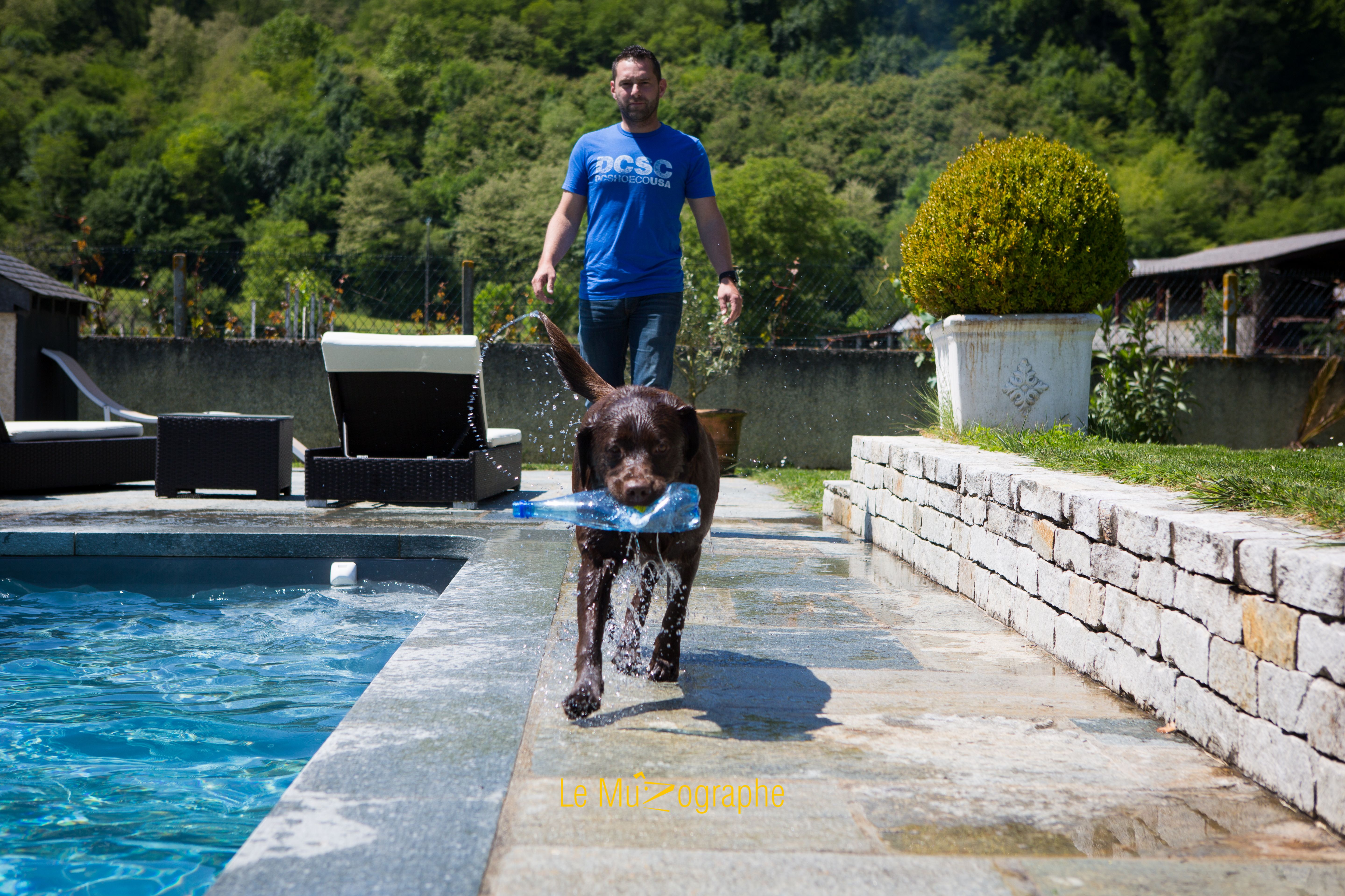 © Le MuZographe, Photographe pour chiens, chats et autres museaux