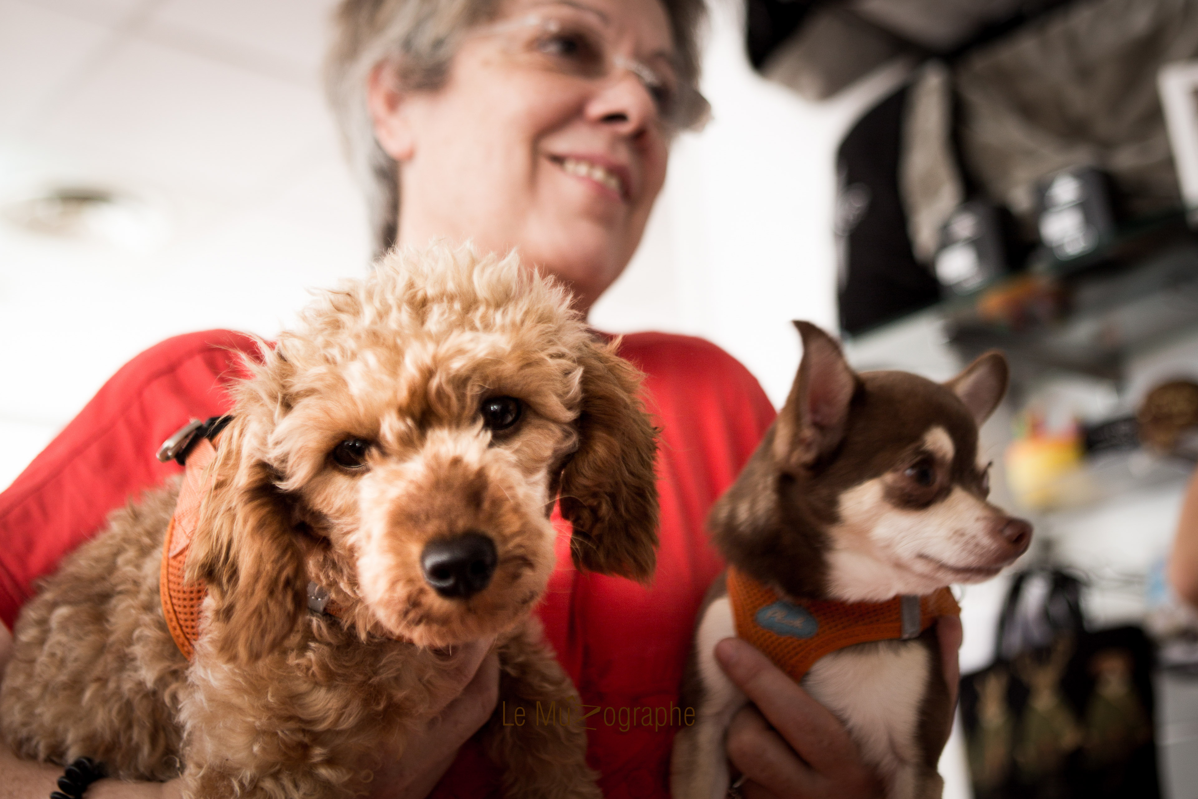 Le Centre du bien-être animal par Le MuZographe
