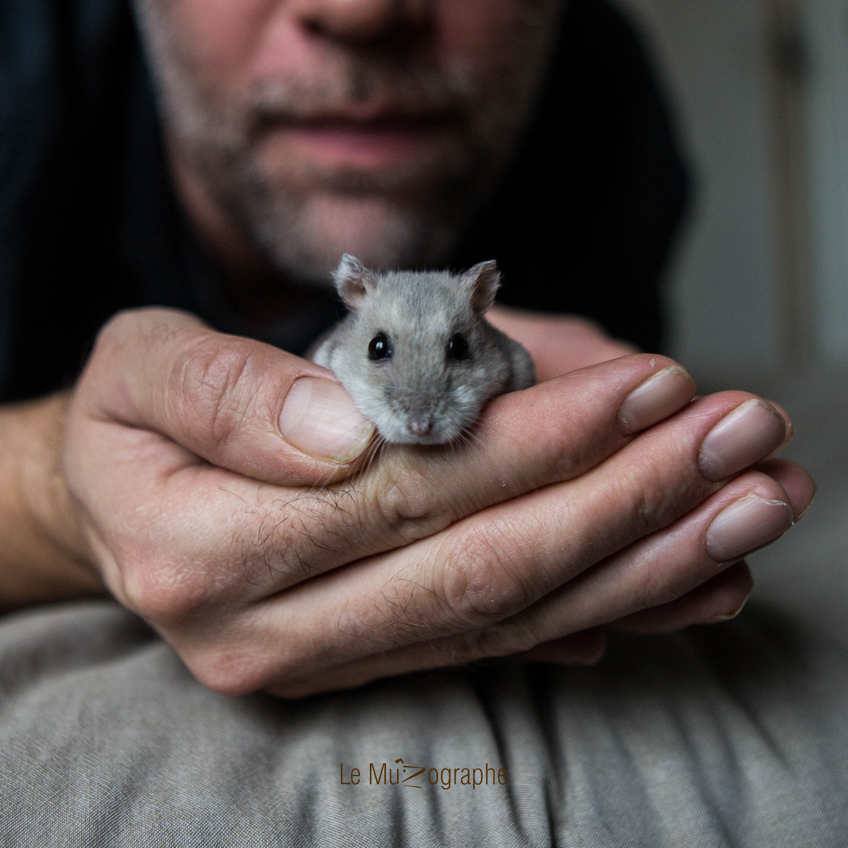 Quenotte © Le MuZographe