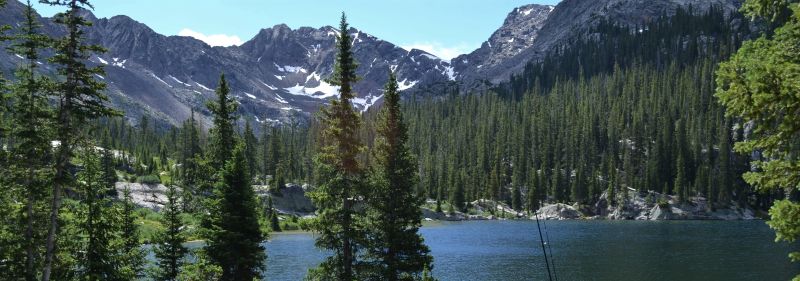 Lena Harris - Landscape Illustration Collection - Ultra HD Quality