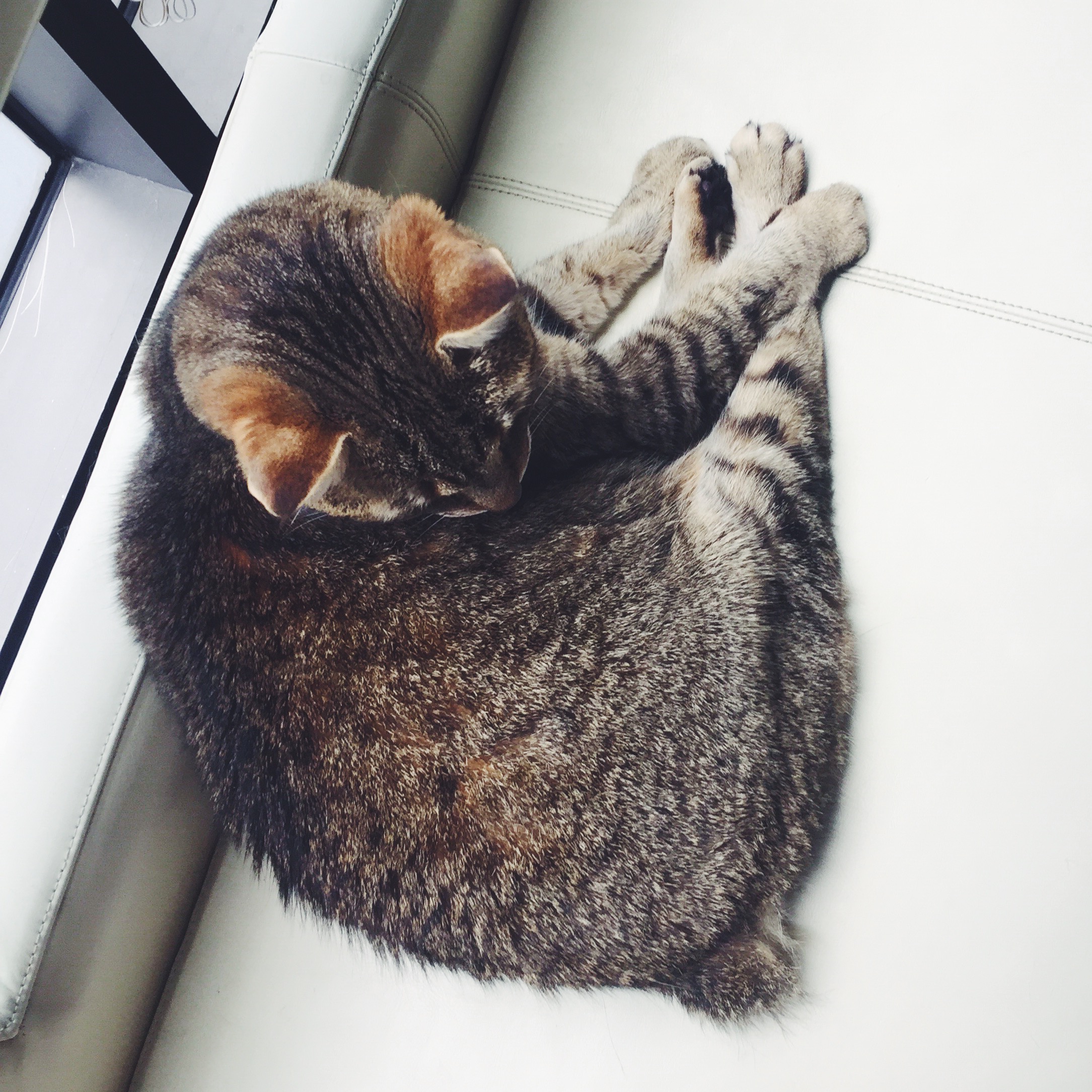 Processed with VSCO with f2 preset