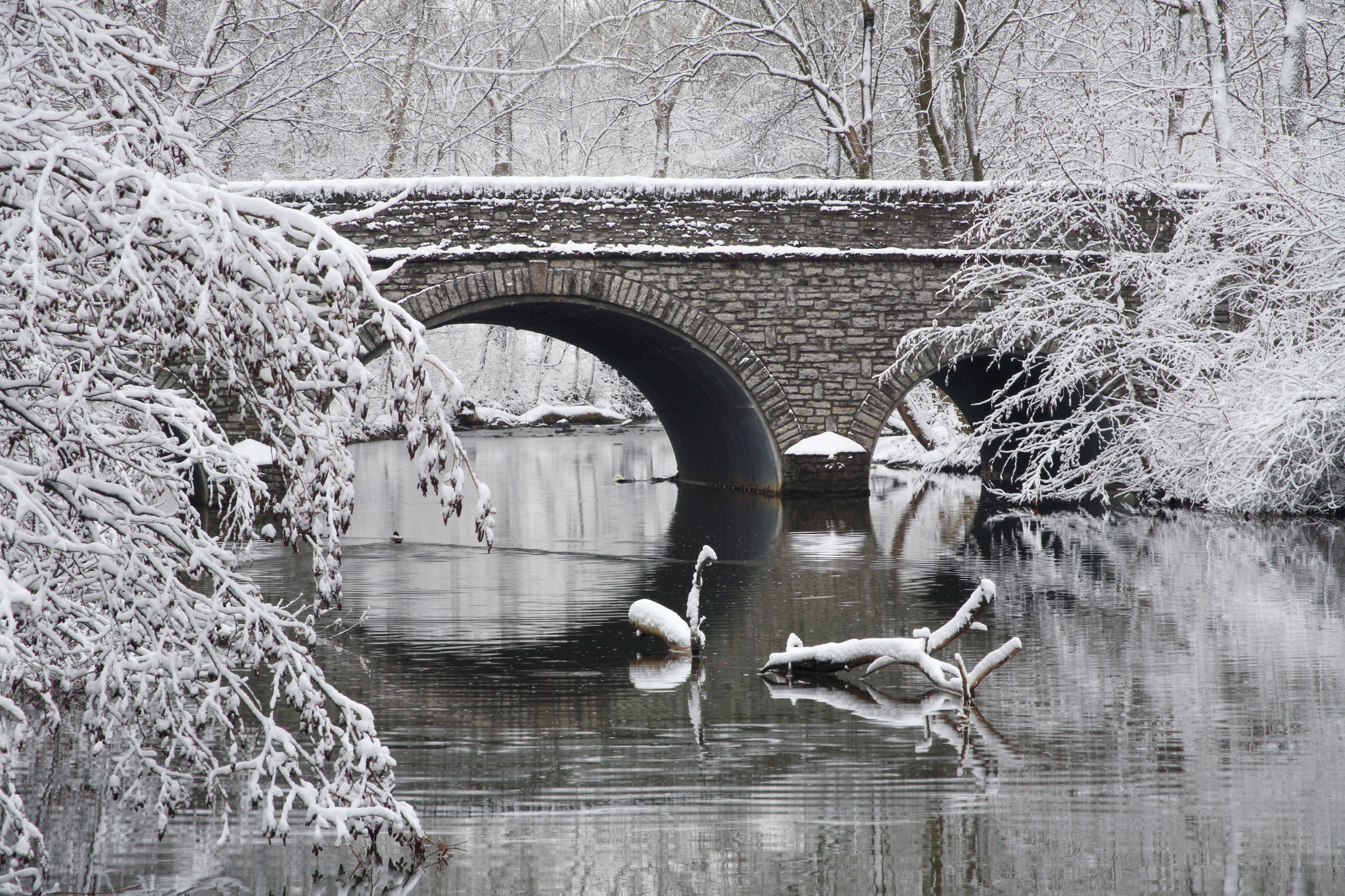 Winter bridge