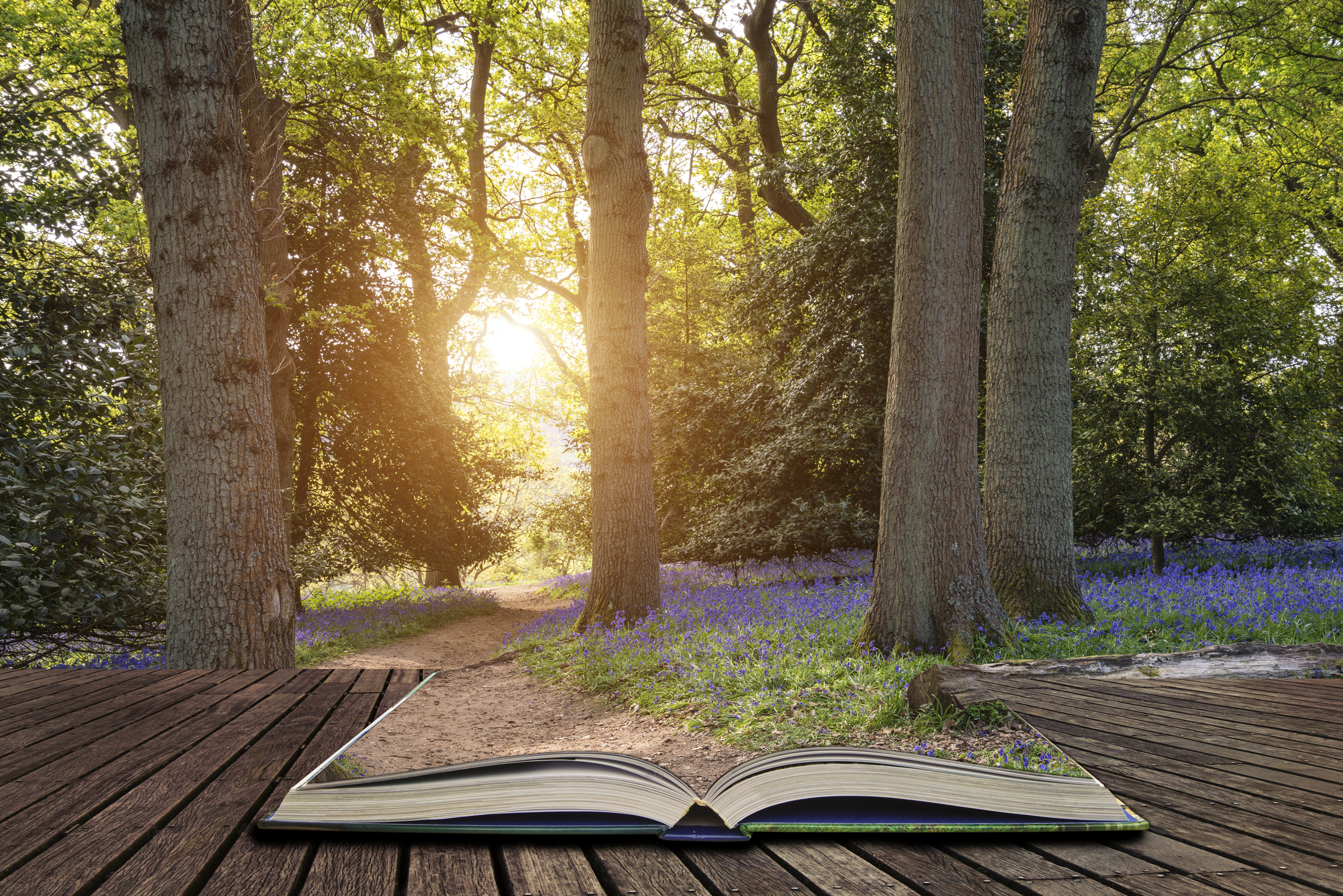Beautiful landscape image of blubell woods in English countryside in Spring concept coming out of pages in open book