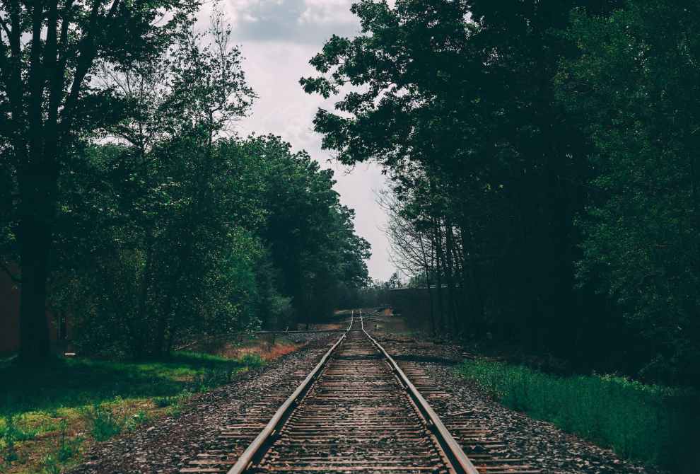 train track surrounded by trees