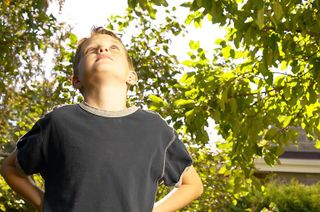 Blog. boy looking up at tree. 2.09