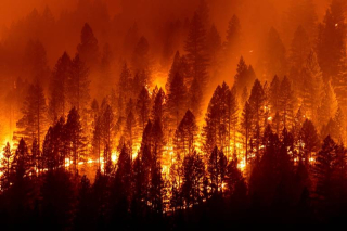 Blog. Dixie fire 2.   8.15.2021
