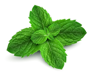 Peppermint