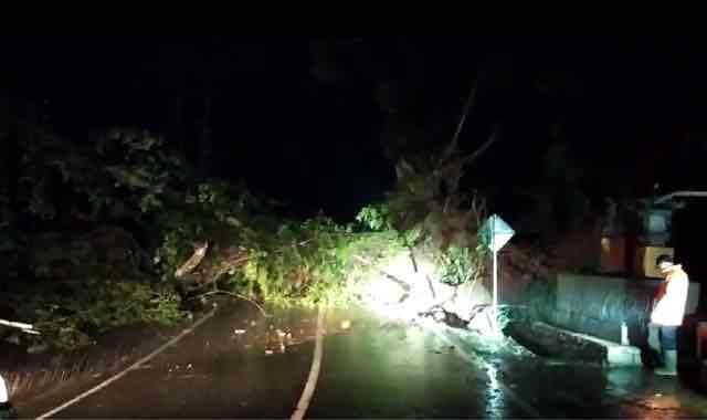 Hujan es juga dilaporkan berlangsung di depok. Hujan Angin Beringin Tua Tumbang Menutup Akses Jalan Raya Di Wilayah Rendang Karangasem Lenteraesai Id