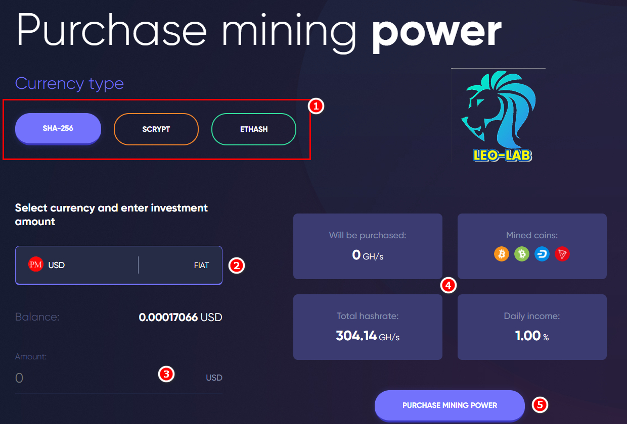 Havel Purchase mining power