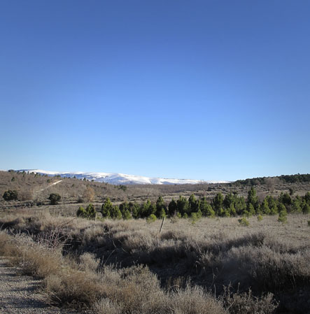 Between Chavaler and Espejo de Tera