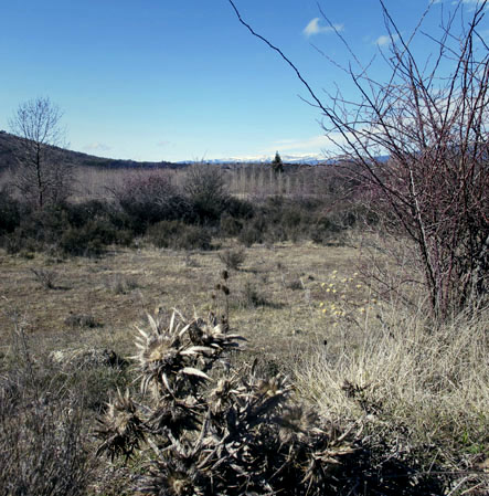 Between Chavaler and Espejo de Tera