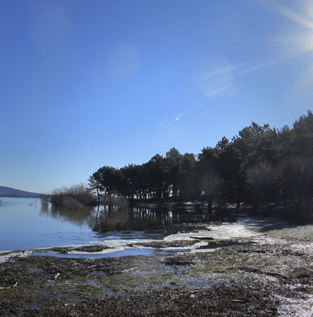 Playa Pita