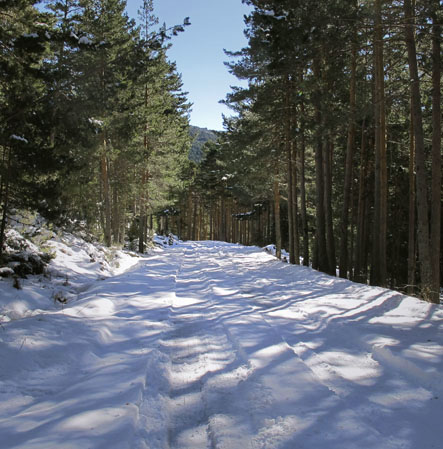 Durelo de la Sierra near Castroviejo
