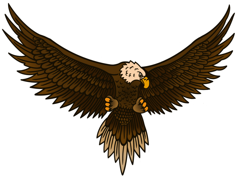 Ausmalbilder Zum Ausdrucken Gratis Malvorlagen Adler 2