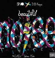 Beautiful Noise