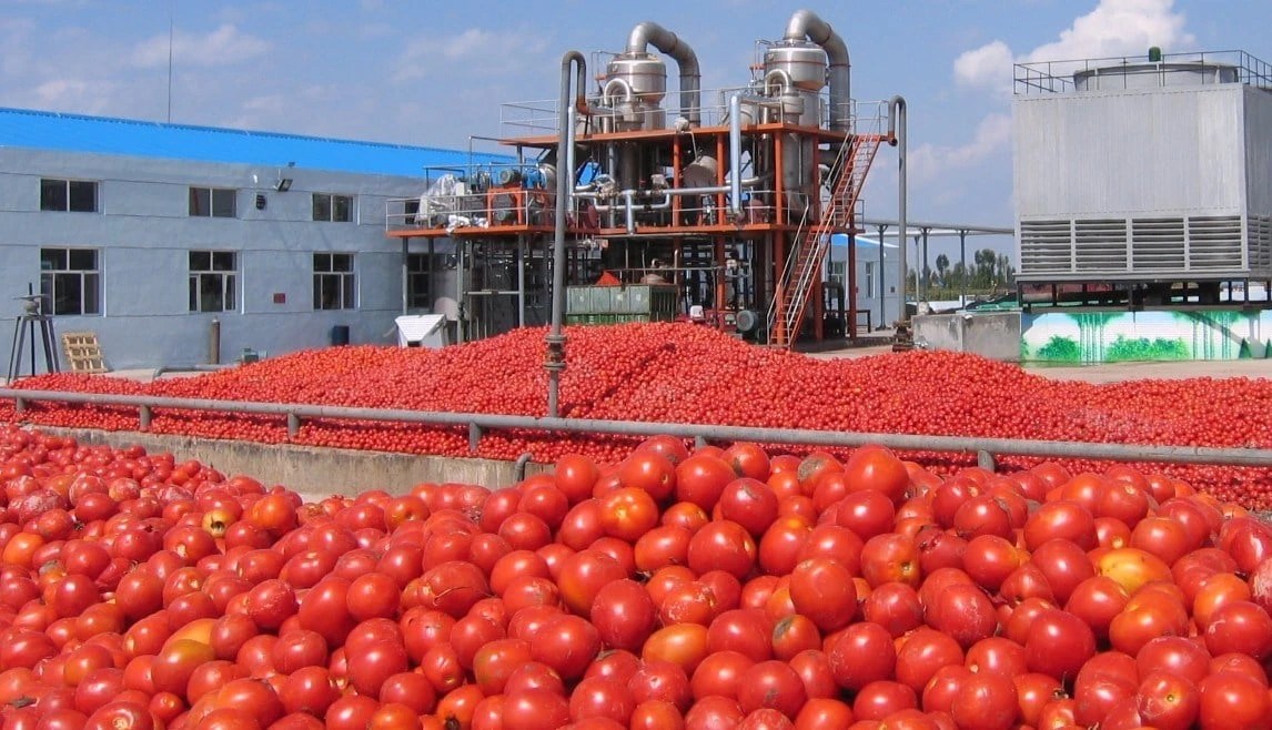 Burkina Faso : Un investissement de 8 millions de dollars marque un tournant majeur dans l&rsquo;industrie de transformation de la tomate