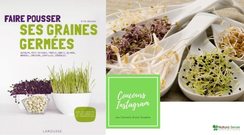 natura sense santé vitalité blogueuse