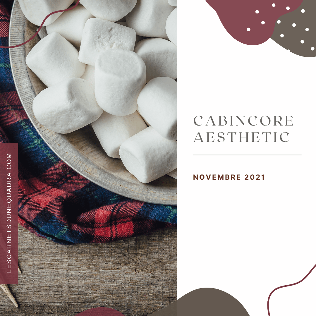 les tendances du mois de novembre 2021