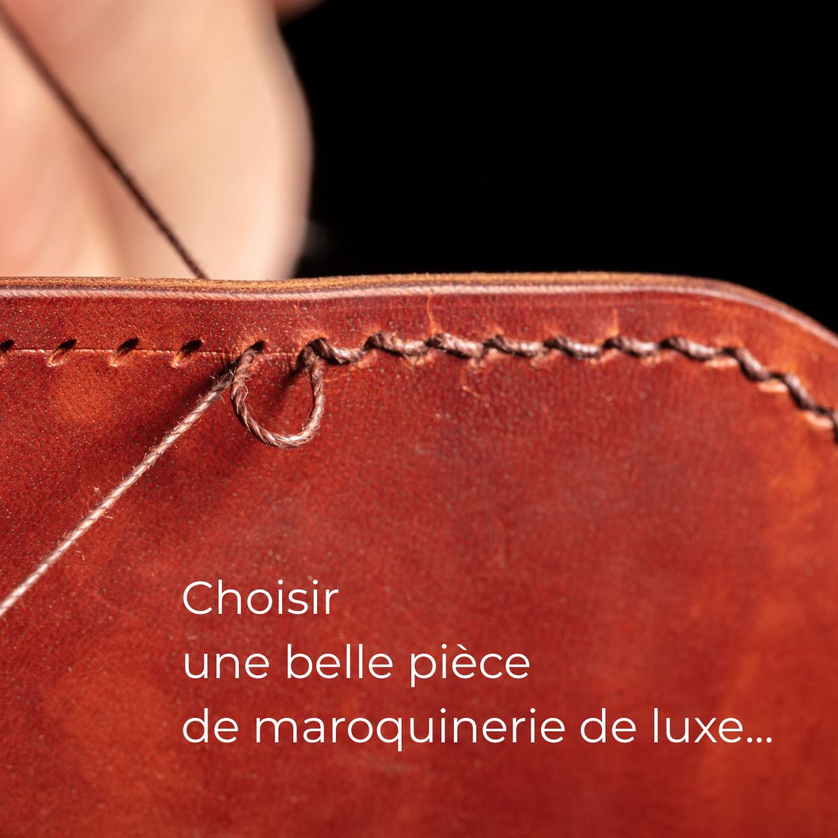 Maroquinerie de luxe