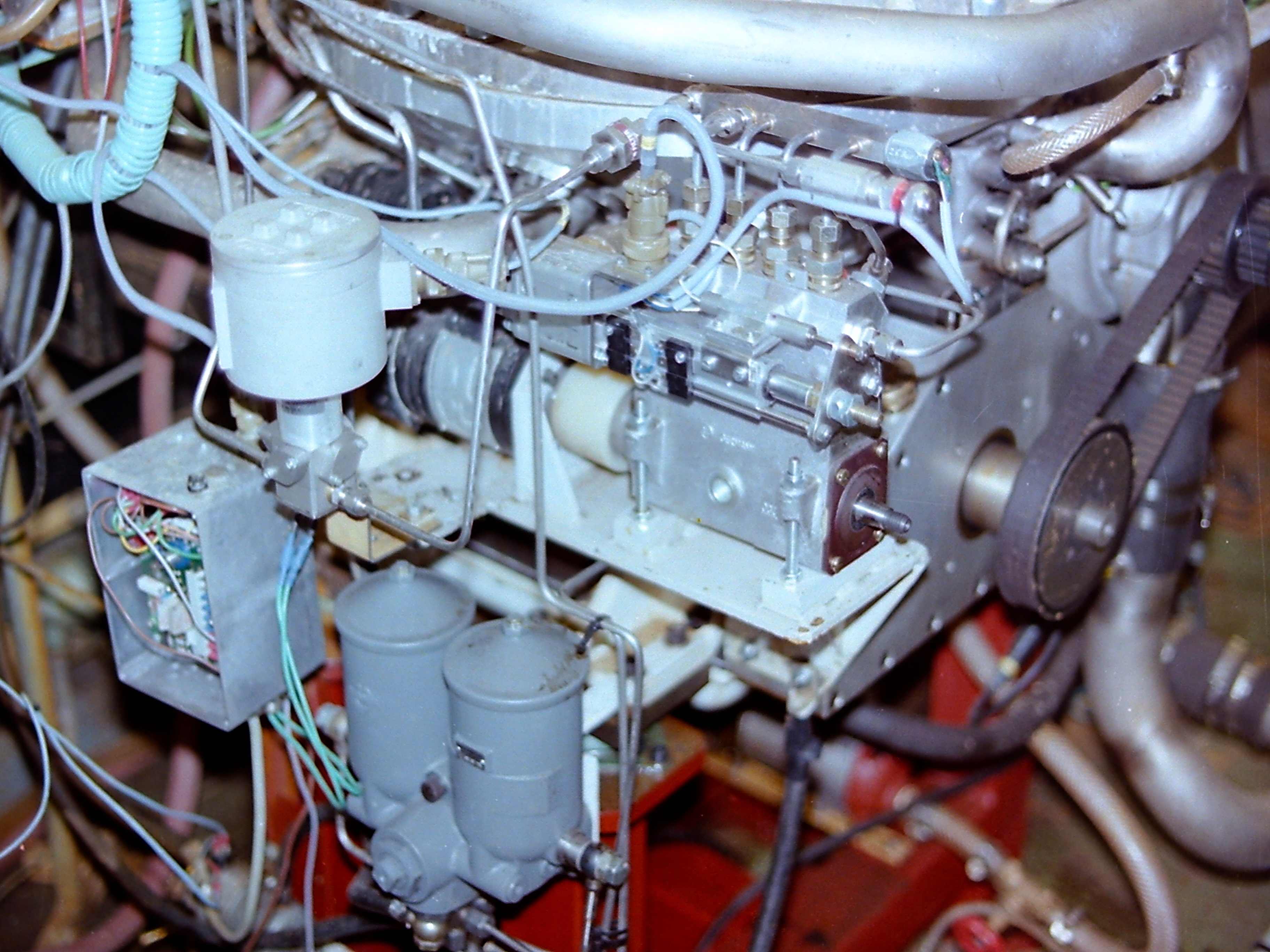 My beautiful picture