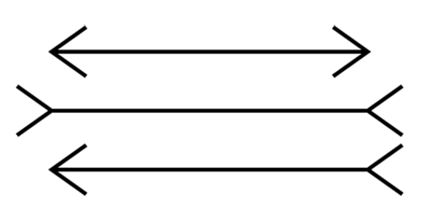 Quelle est la ligne la plus longue entre les flèches?