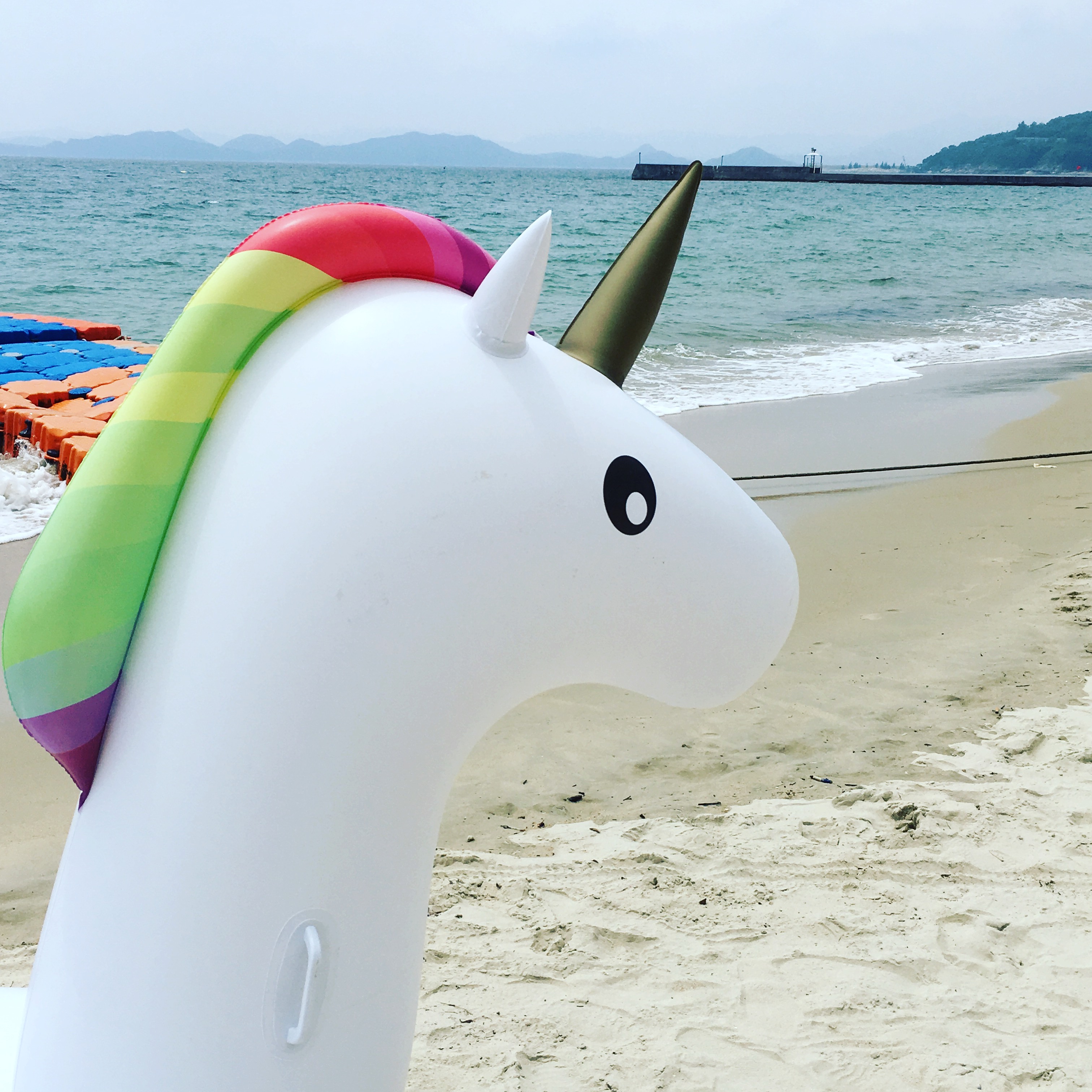 Oui , on a même croisé une licorne ...