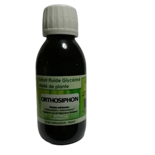 EFGM d'Orthosiphon