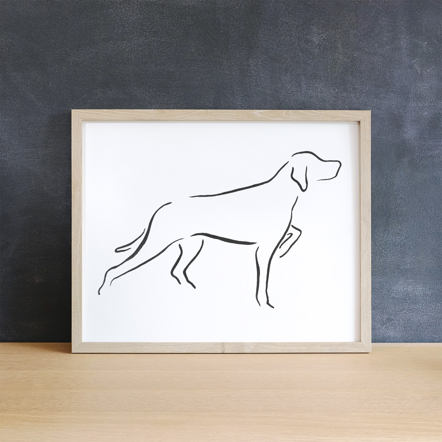 English Pointer Pointing