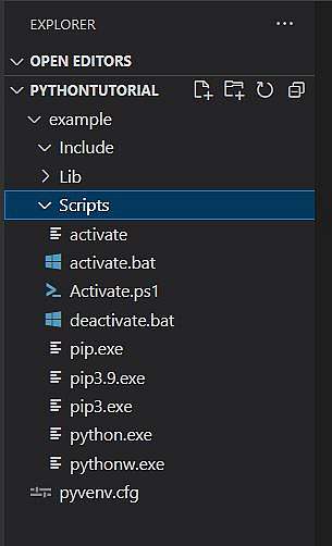 Example of Virtual Environment folder