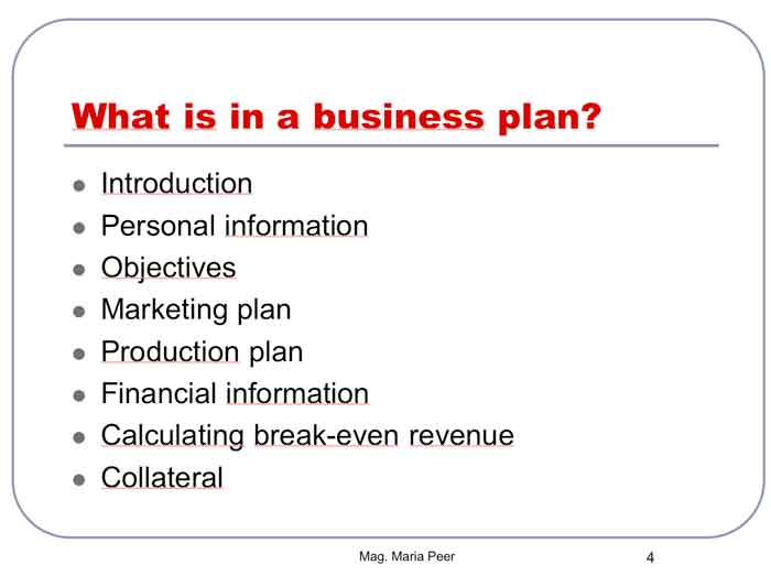Business Planning Powerpoint Presentation Maria S Lessons