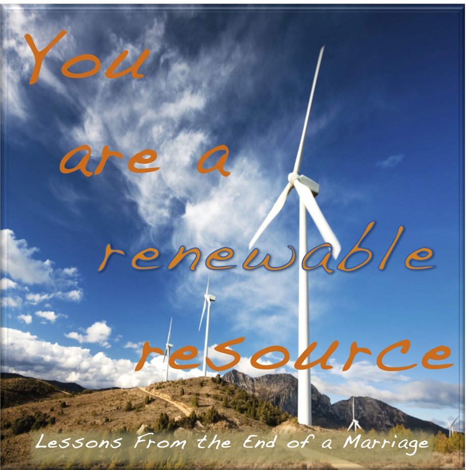 The Renewable Resource You Re Probably Overlooking - pn12l43