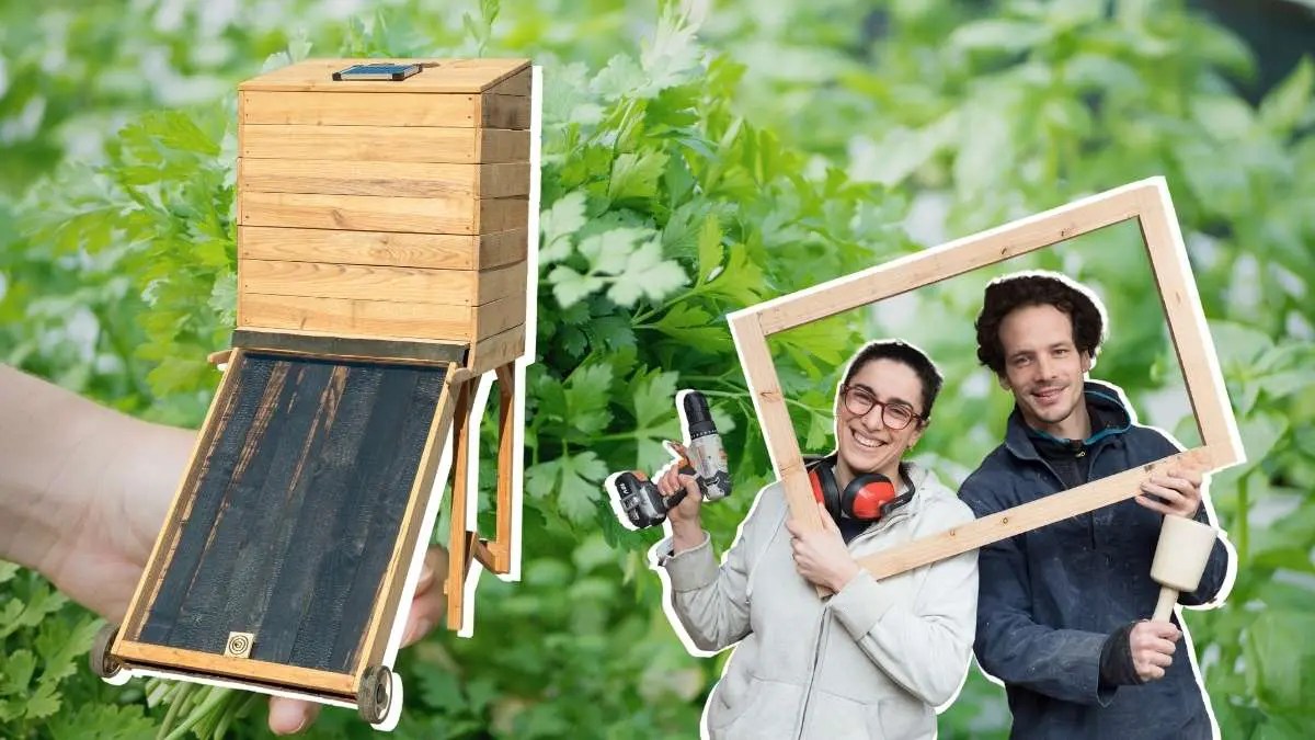 Séchoir à Fruits Solaire Fait Maison Autoconstruction TUTO Fabriquer un séchoir solaire - Les Sourciers