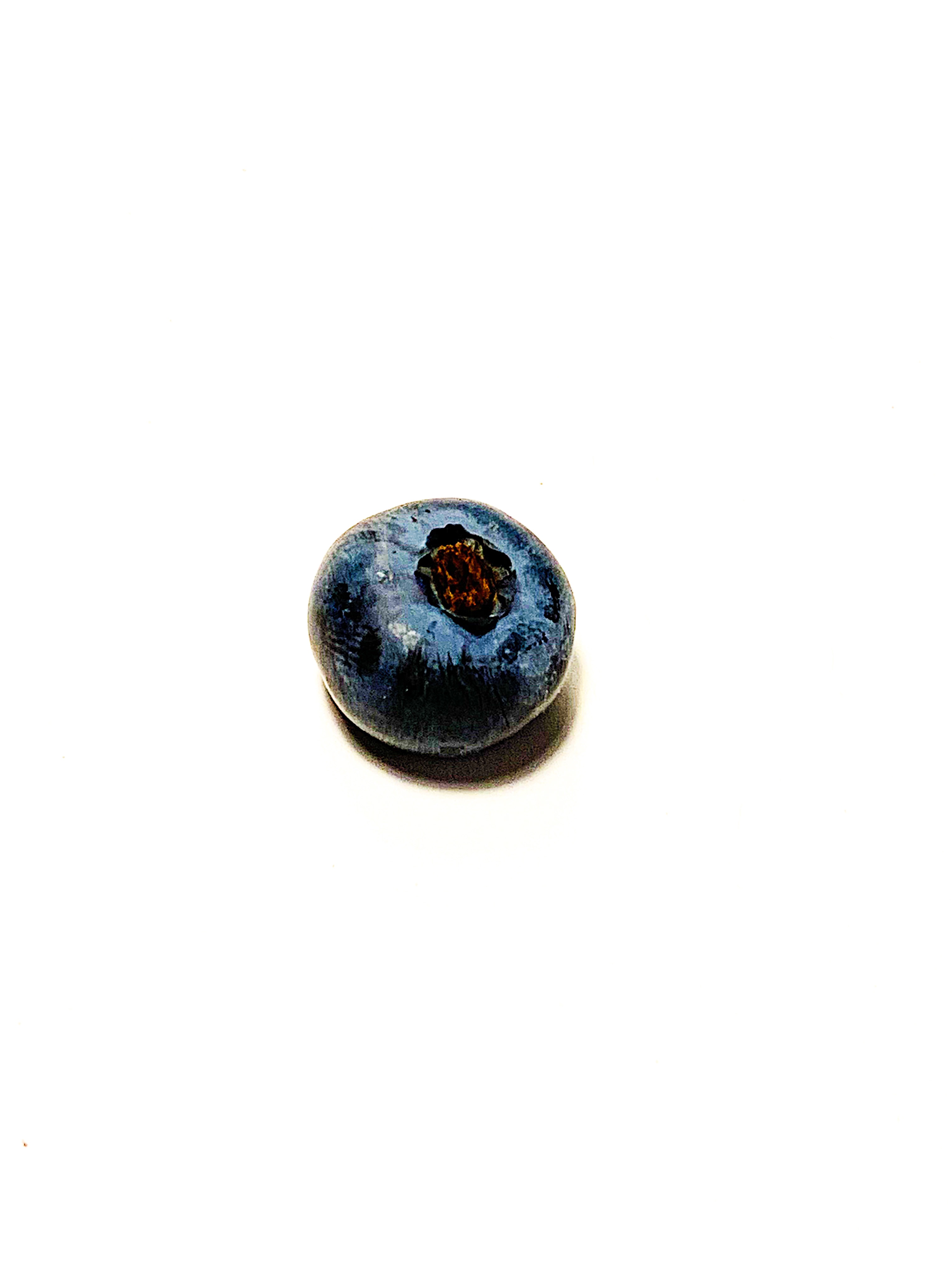 L&rsquo;ingrédient invité: Le bleuet
