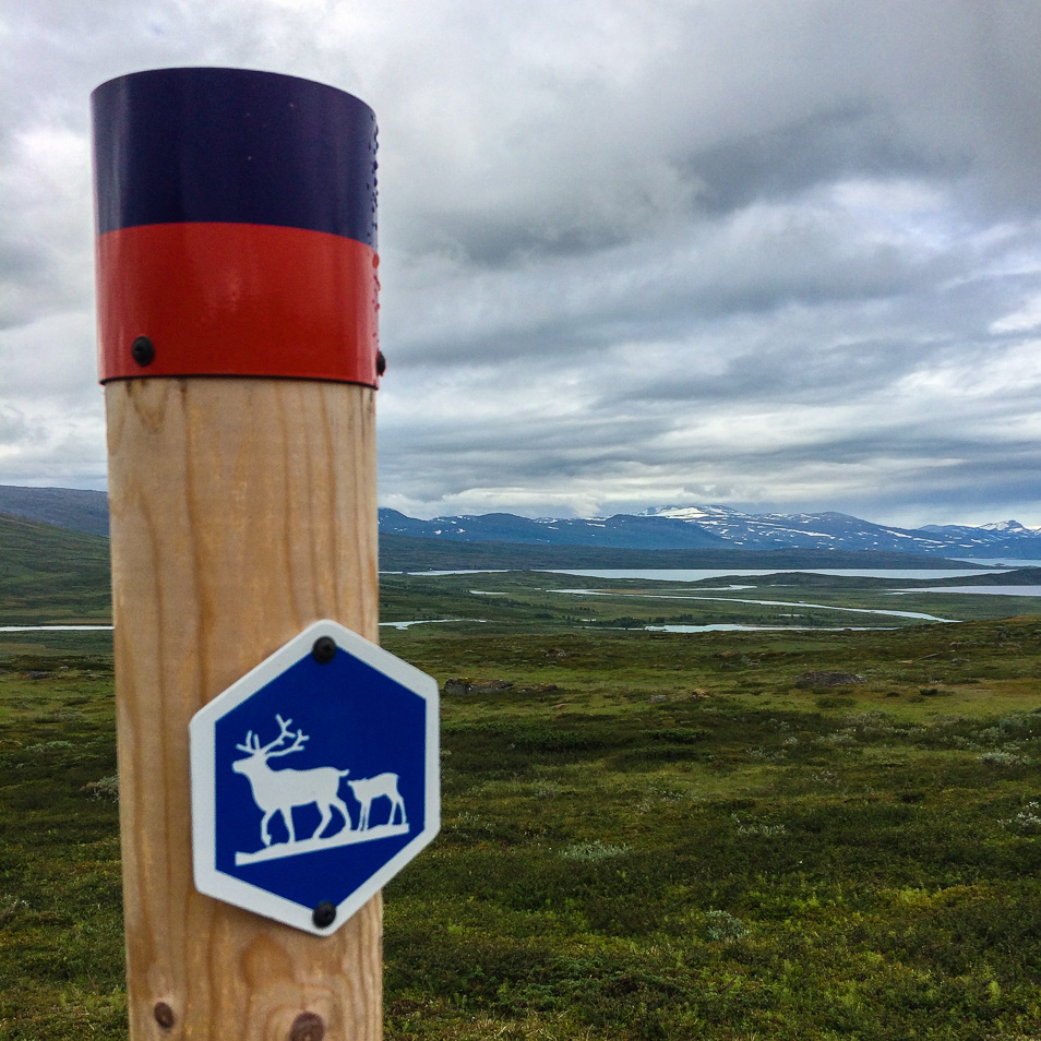 Renskylt i Padjelanta