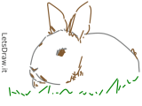 How To Draw Rabbit Letsdrawit