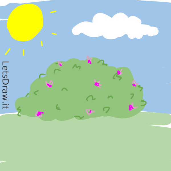 However, how cinco de mayo is celebrated and even who participates in it has c. Como Dibujar Arbusto Kup7ef7j6 Png Dibujo Paso Por Paso