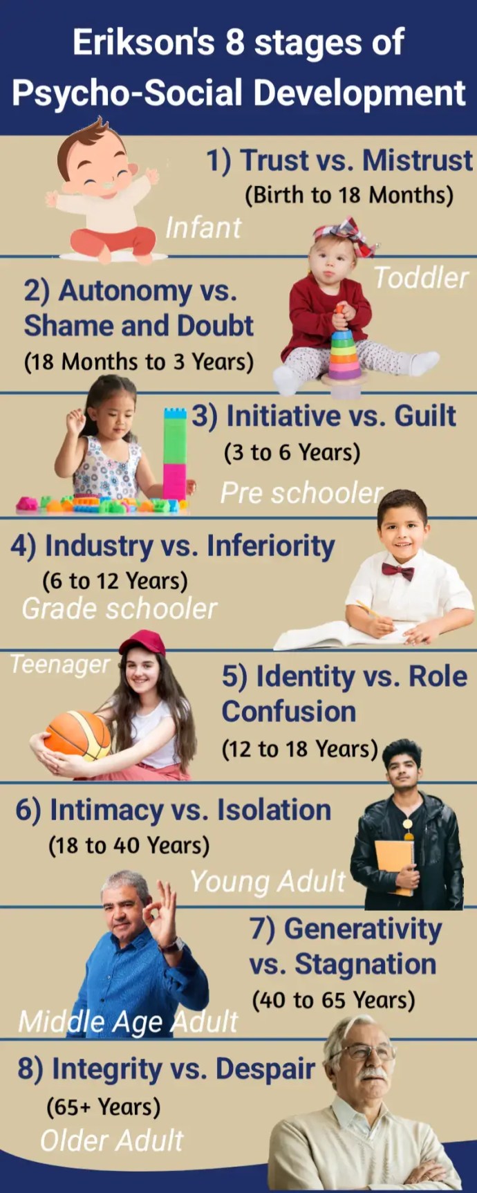 Erikson's theory of Psychosocial development