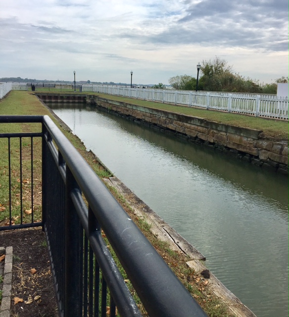 The preserved lock. Doesn't it look incredibly skinning?!