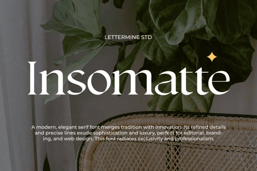 Lowercase & Rounded (Insomatte)