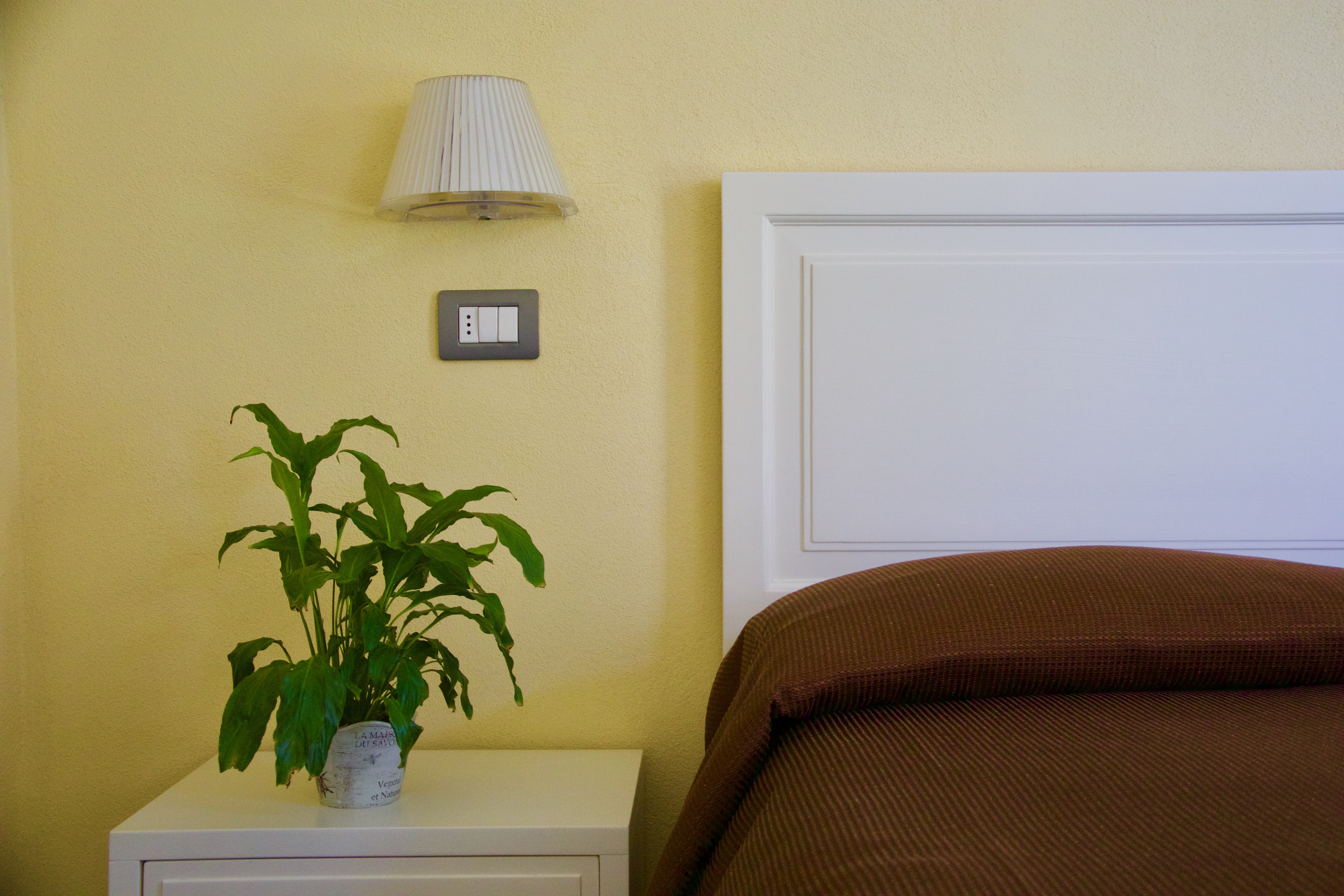 Gerbera, rooms in Levanto