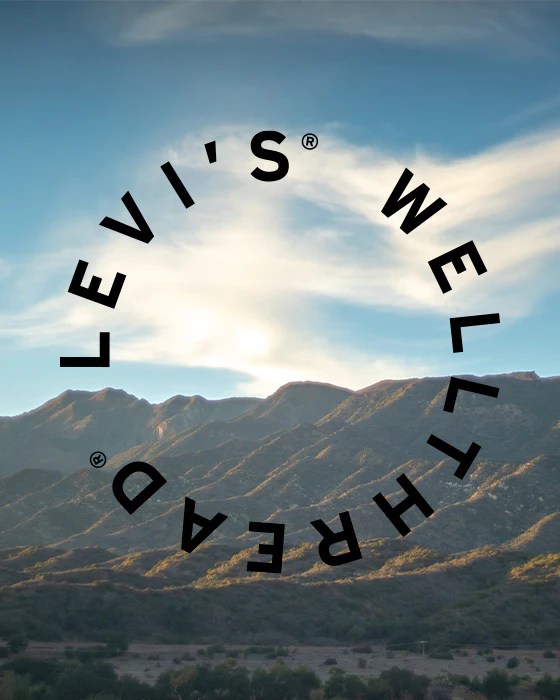 Levi S Profile Weasyl - Artistic Retina Mountain Arts | Free Download