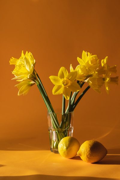 limone giallo colori cuore