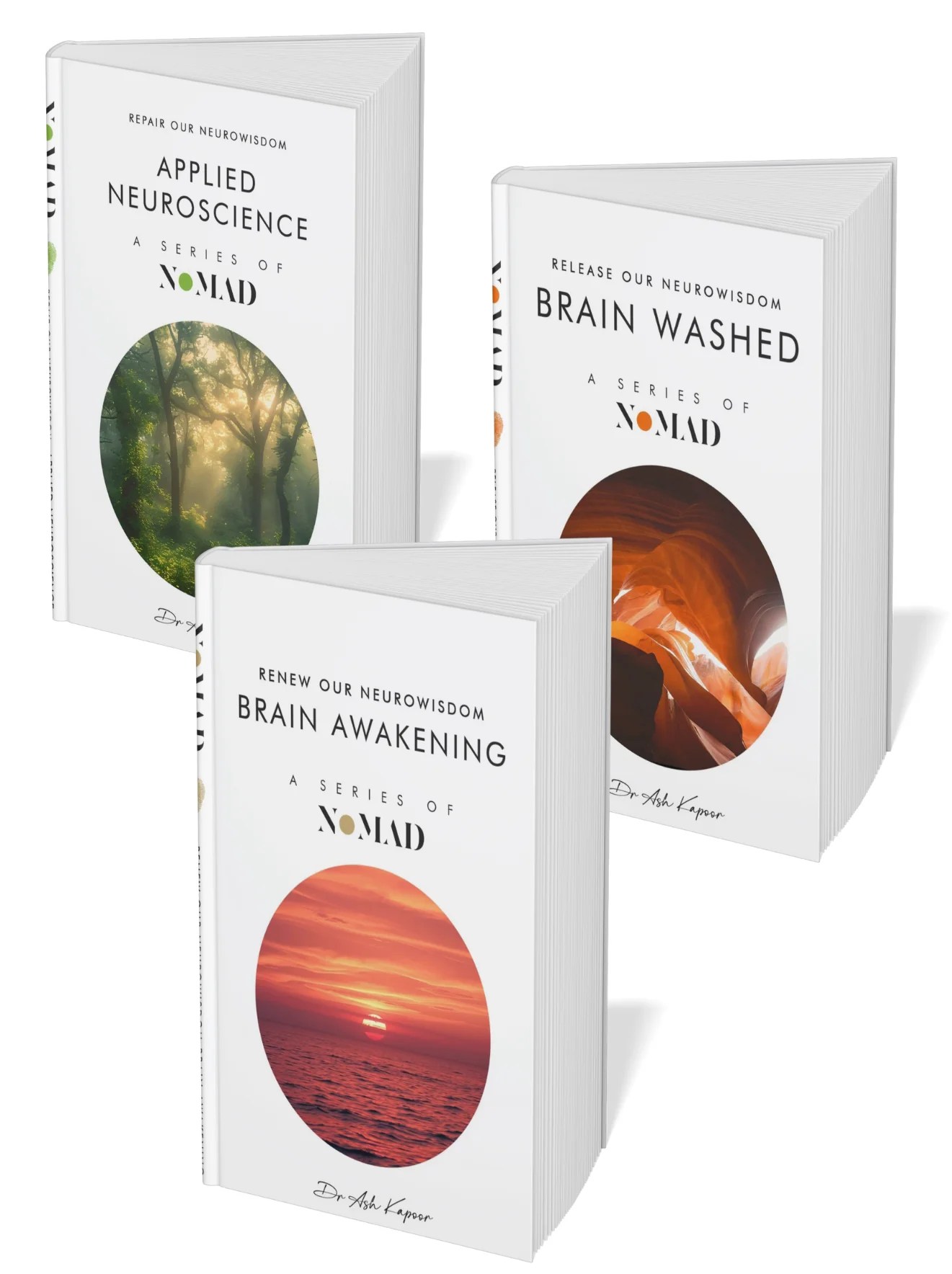 Nomad Brain Book Bundle Levitas Retail