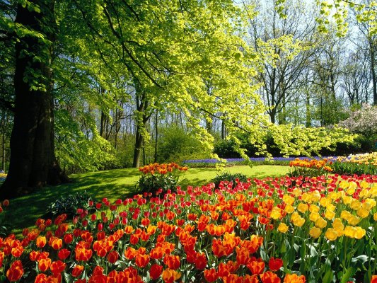 spring.jpg (1600×1200)