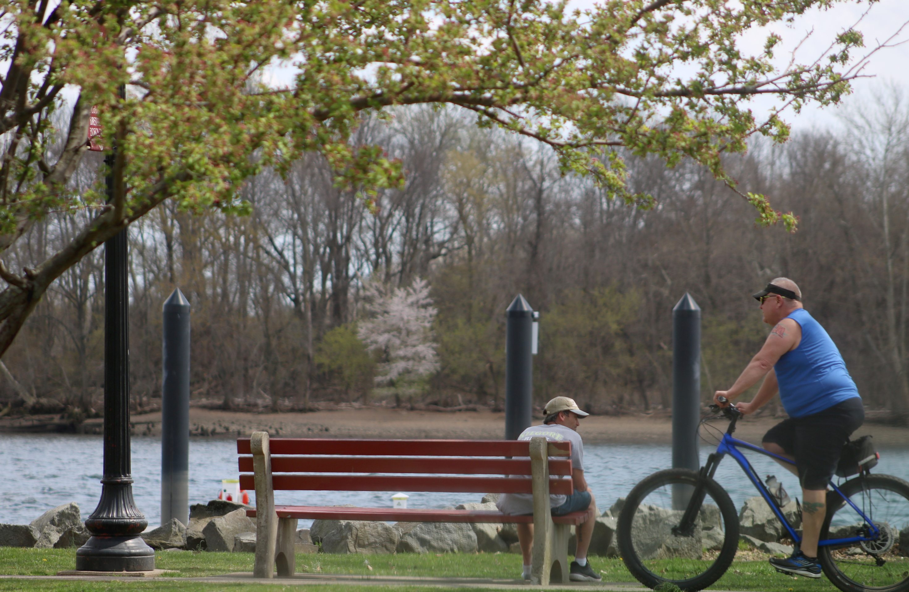PHOTOS: Signs Of Spring In Bristol Borough - LevittownNow.com