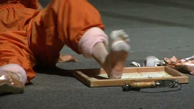 Maria foot rosin