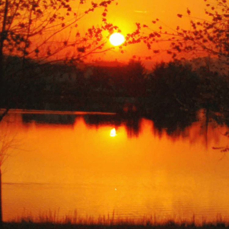 Bassano - Sul lago dorato