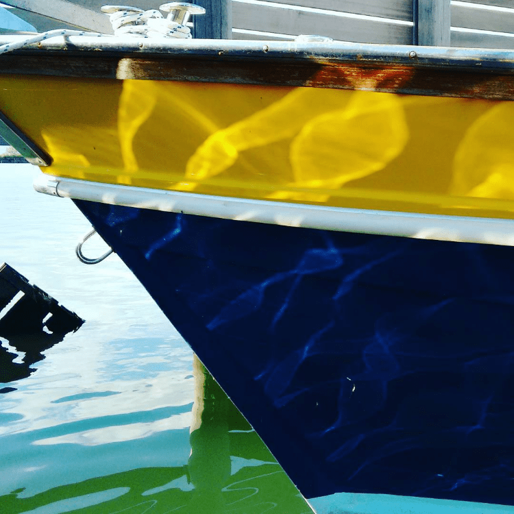 Cavallino - Riflessi dal mare