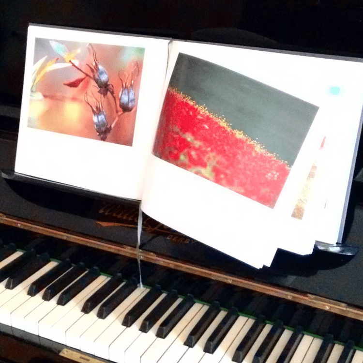 Spinea - Sound and Vision